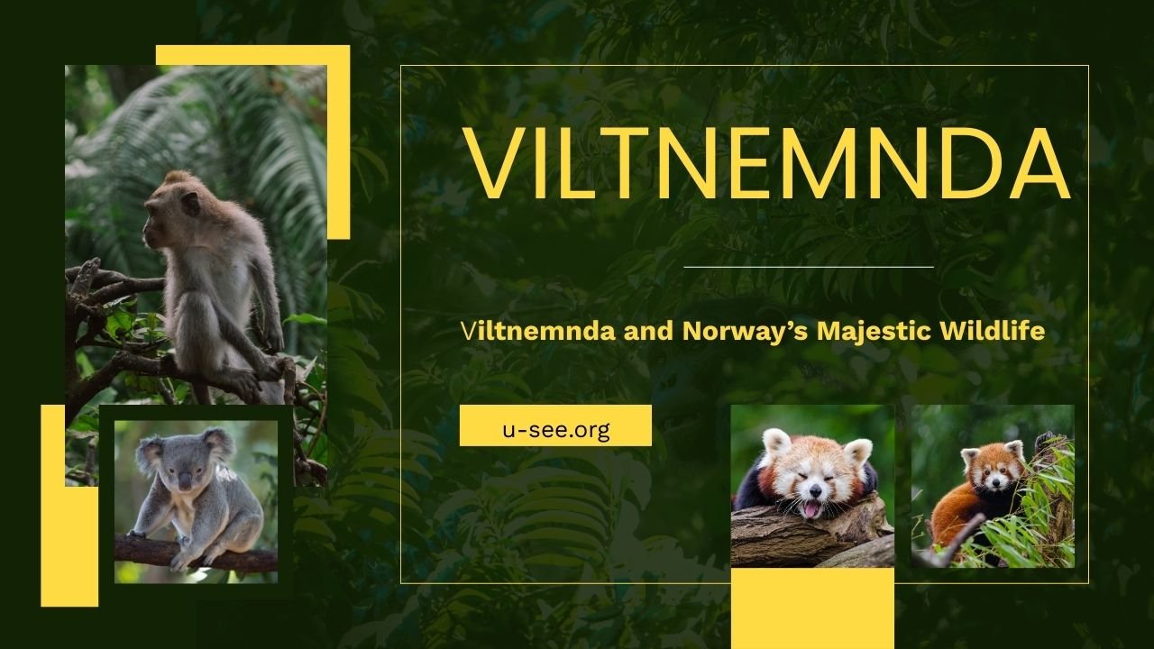 Viltnemnda